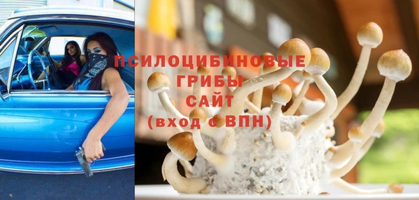 винт Алексеевка