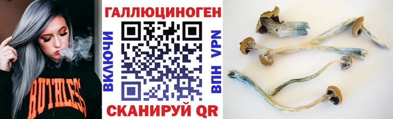 наркота  Гусь-Хрустальный  Псилоцибиновые грибы MAGIC MUSHROOMS 